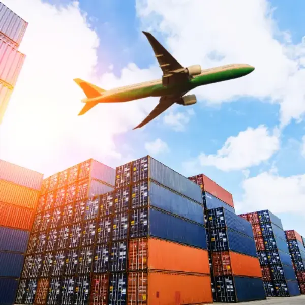 Export Consultancy